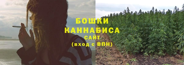 мдпв Богородск