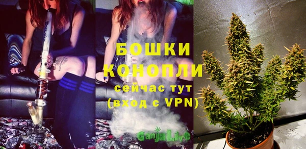прущие крисы Богданович